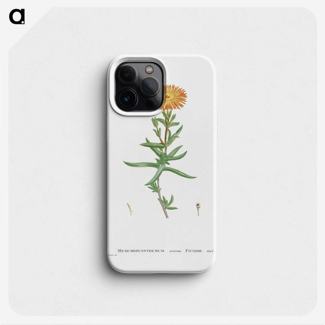1-17_Histoire-des-Plantes-Grasses_phone