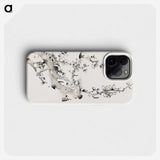 1-17_Hu-Zhengyan_phone