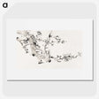 1-17_Hu-Zhengyan_picture