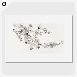 1-17_Hu-Zhengyan_picture