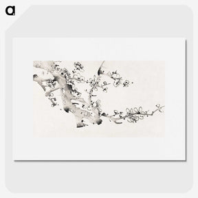 1-17_Hu-Zhengyan_picture