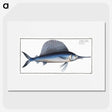 1-17_Ichtyologie-ou-Histoire-naturelle_picture