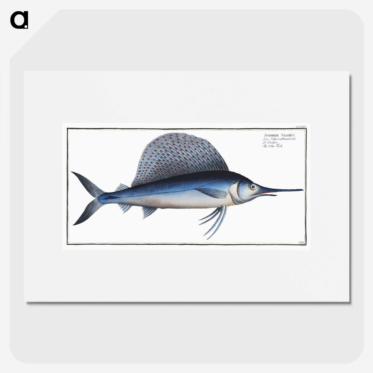 1-17_Ichtyologie-ou-Histoire-naturelle_picture