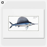 1-17_Ichtyologie-ou-Histoire-naturelle_picture