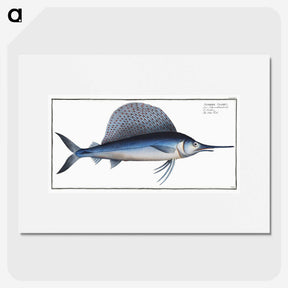 1-17_Ichtyologie-ou-Histoire-naturelle_picture