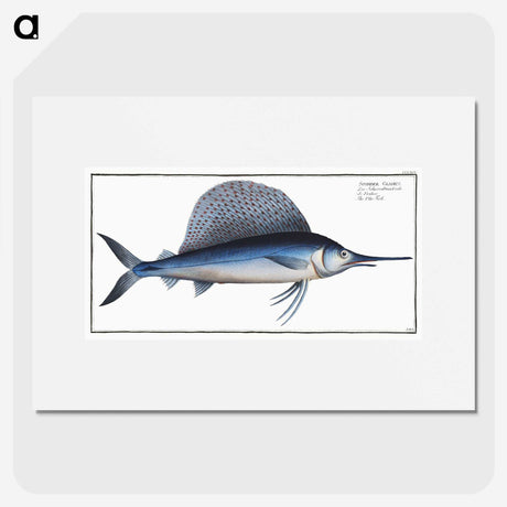 1-17_Ichtyologie-ou-Histoire-naturelle_picture