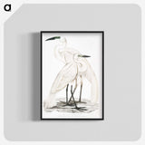 1-17_Indian-Zoology_blk-crop