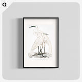 1-17_Indian-Zoology_blk