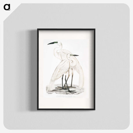 1-17_Indian-Zoology_blk