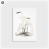 1-17_Indian-Zoology_hagaki