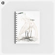 1-17_Indian-Zoology_memo