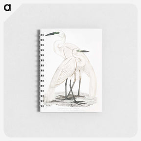 1-17_Indian-Zoology_memo