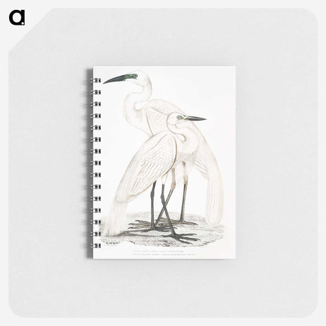 1-17_Indian-Zoology_memo