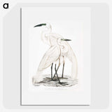 1-17_Indian-Zoology_picture