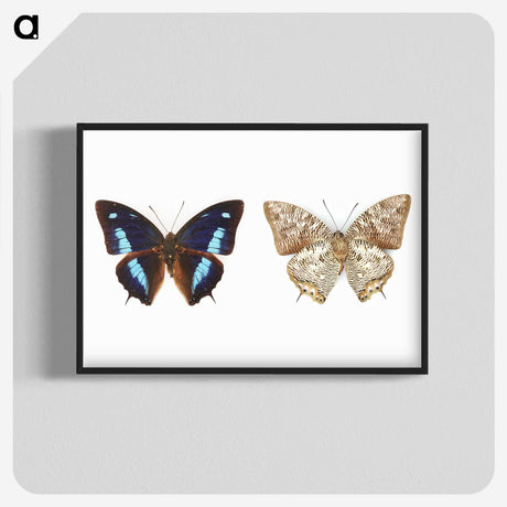 1-17_Insects-Unlocked-Project_blk-crop