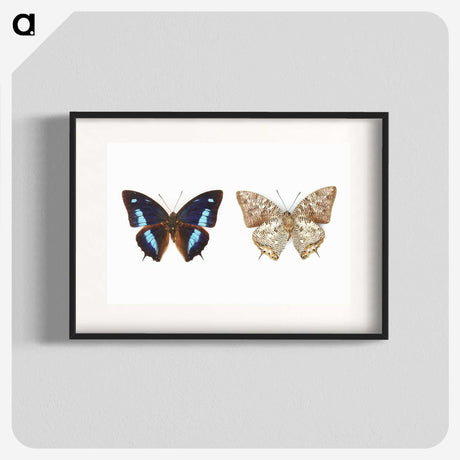 1-17_Insects-Unlocked-Project_blk