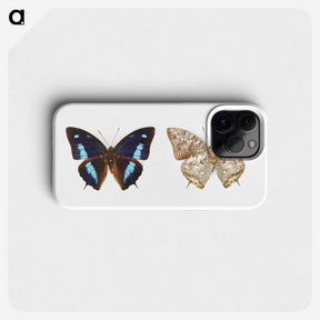 1-17_Insects-Unlocked-Project_phone