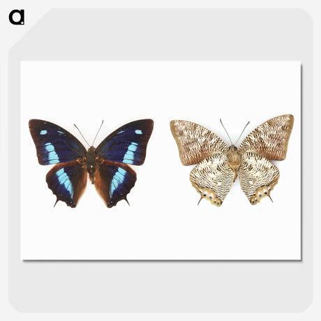1-17_Insects-Unlocked-Project_picture-crop