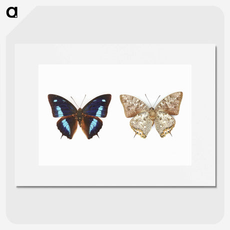 1-17_Insects-Unlocked-Project_picture