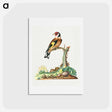 アートポストカード-European Goldfinch
 - ジェームズ ボルトン Postcard.