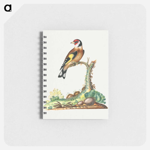 European Goldfinch
 - ジェームズ ボルトン Memo.