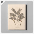 1-17_James-Heath_canvas