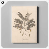 1-17_James-Heath_canvas
