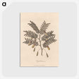 1-17_James-Heath_postcard