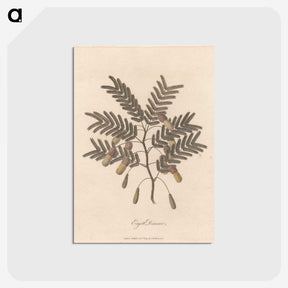 1-17_James-Heath_postcard