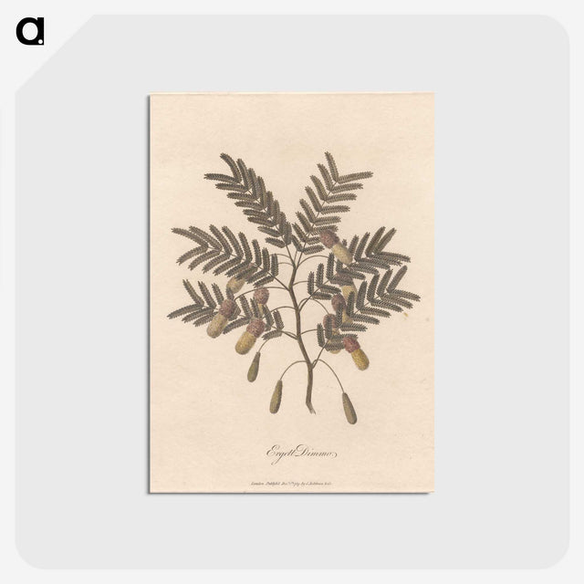 1-17_James-Heath_postcard