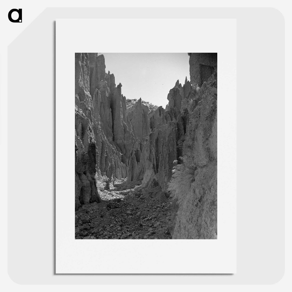 1-17_James-Walter-Chapman-Taylor_picture