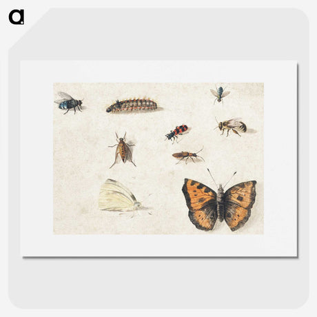 1-17_Jan-Van-Kessel_picture