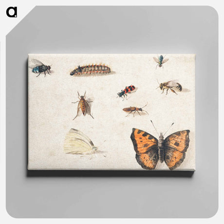 アートパネル-Sheet of Studies of Nine Insects
 - ヤン ファン ケッセル Canvas.