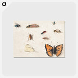 アートポストカード-Sheet of Studies of Nine Insects
 - ヤン ファン ケッセル Postcard.