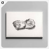 アートパネル-Two opened oysters - ジャン ベルナール Canvas.