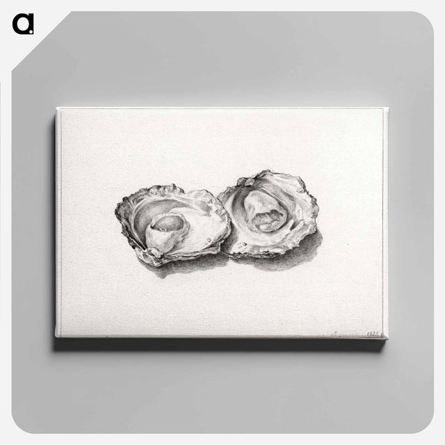 アートパネル-Two opened oysters - ジャン ベルナール Canvas.