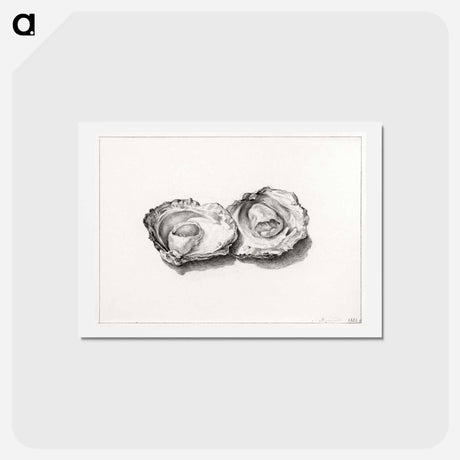 アートポストカード-Two opened oysters - ジャン ベルナール Postcard.