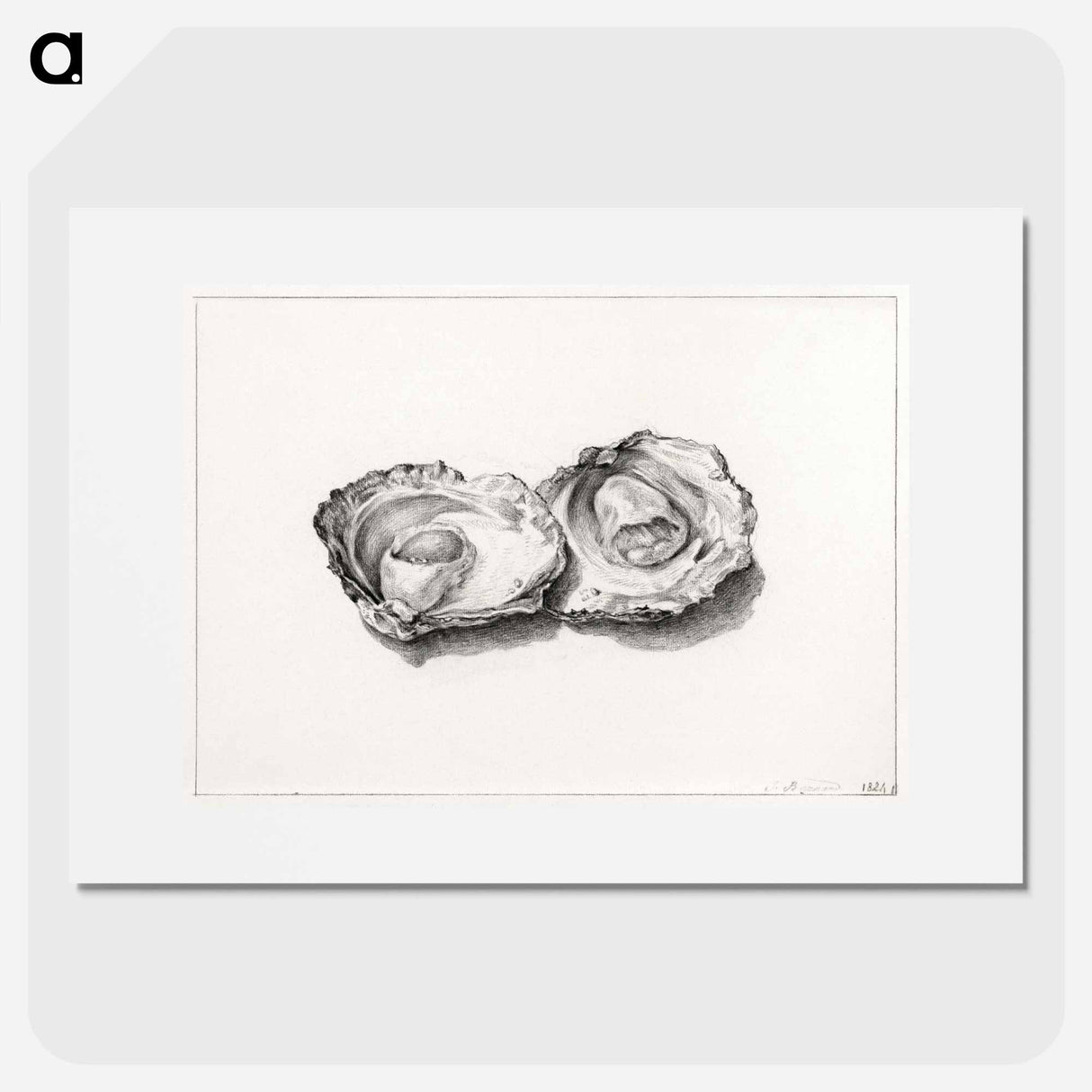 Two opened oysters - Jean Bernard Poster.