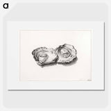Two opened oysters - Jean Bernard Poster.