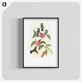 1-17_John-Gould_blk-crop