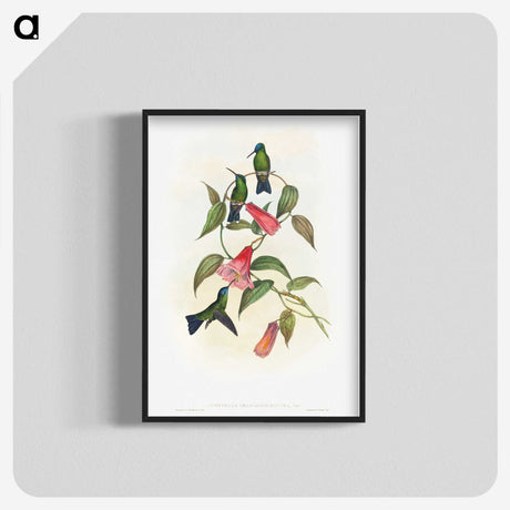 1-17_John-Gould_blk-crop