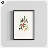 1-17_John-Gould_blk