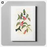 1-17_John-Gould_canvas