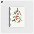 1-17_John-Gould_memo
