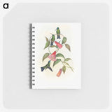 1-17_John-Gould_memo