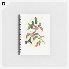 1-17_John-Gould_memo