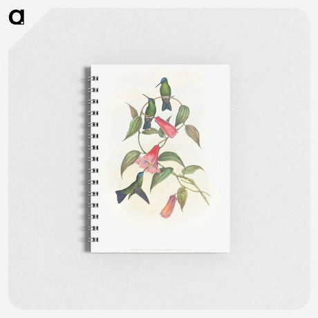 1-17_John-Gould_memo