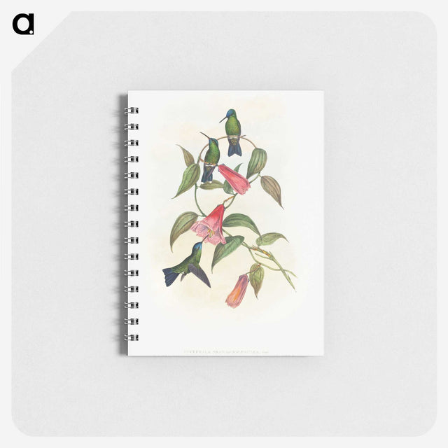 1-17_John-Gould_memo
