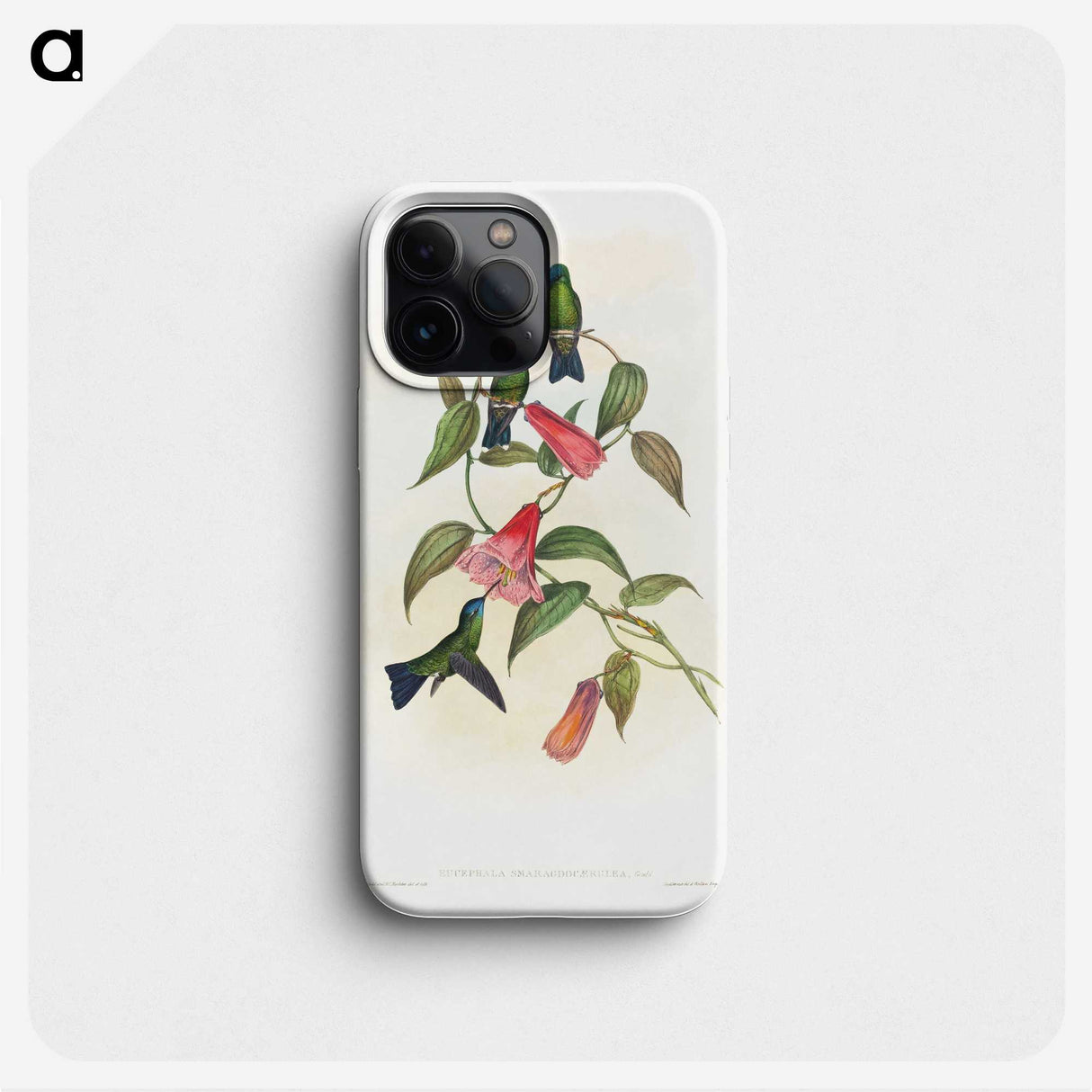 1-17_John-Gould_phone