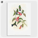 1-17_John-Gould_picture-crop